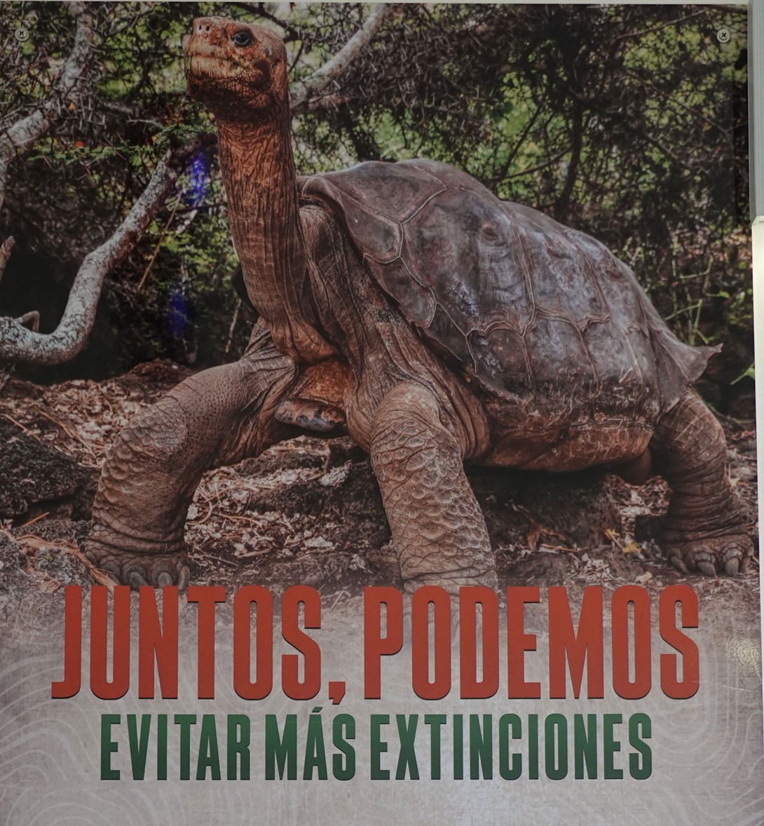 La tortuga gigante George