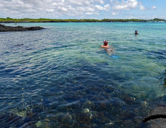 Schnorcheln im glasklaren Wasser auf Tintoreras
